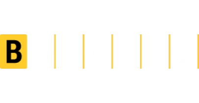 partners who work with Rich11