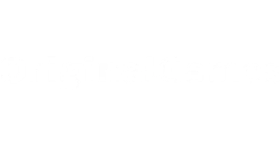 partners who work with Rich11